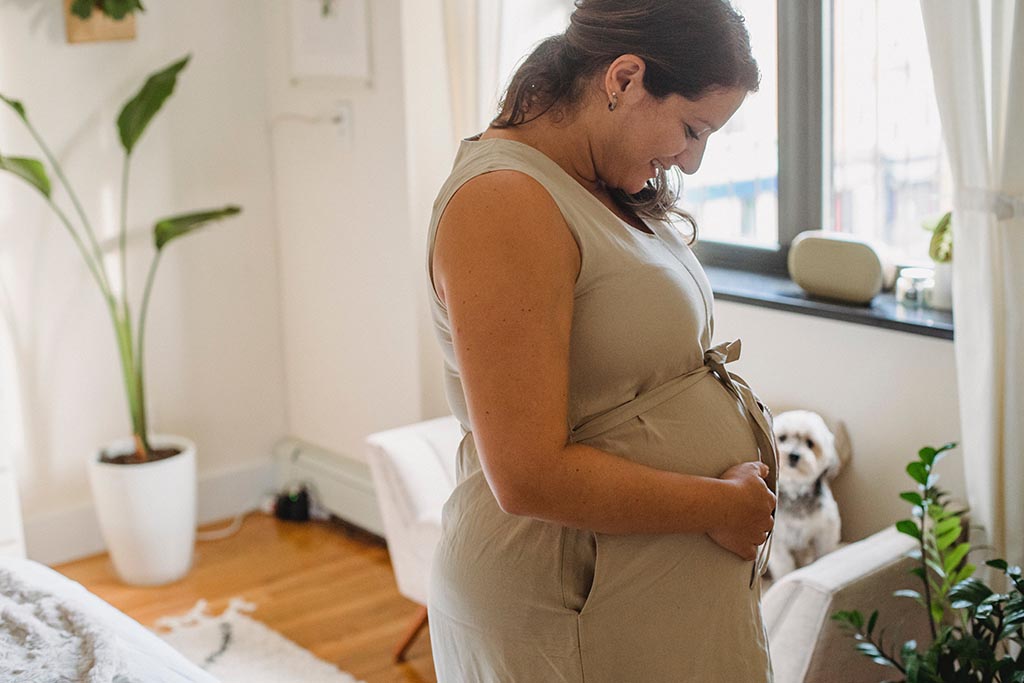 A pregnant woman holds her belly in the foreground. Her dog watches from a daybed in the background