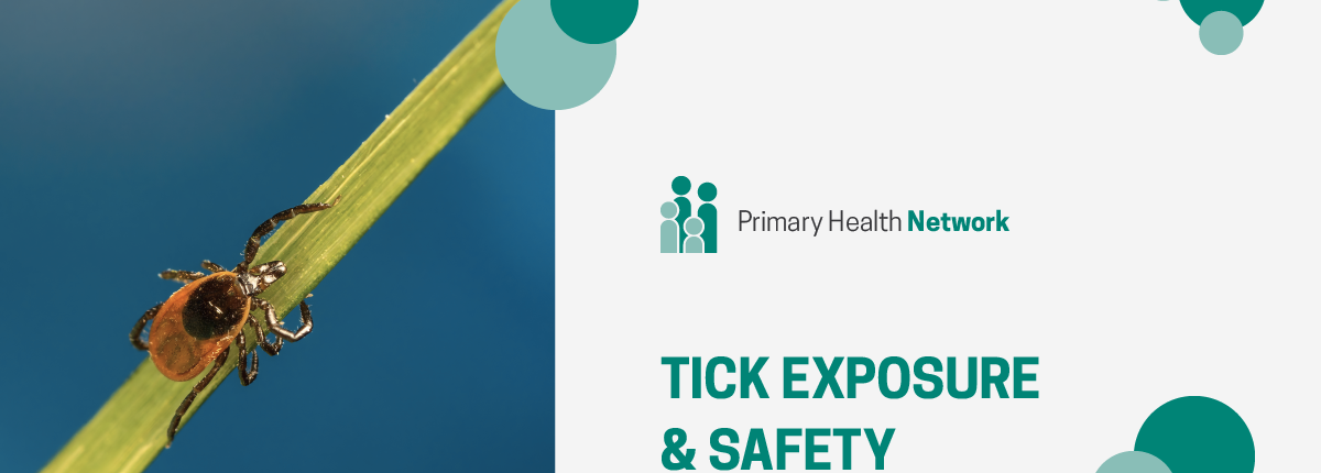 Primary Health Network - Tick Exposure & Safety, brown tick climbing blade of grass