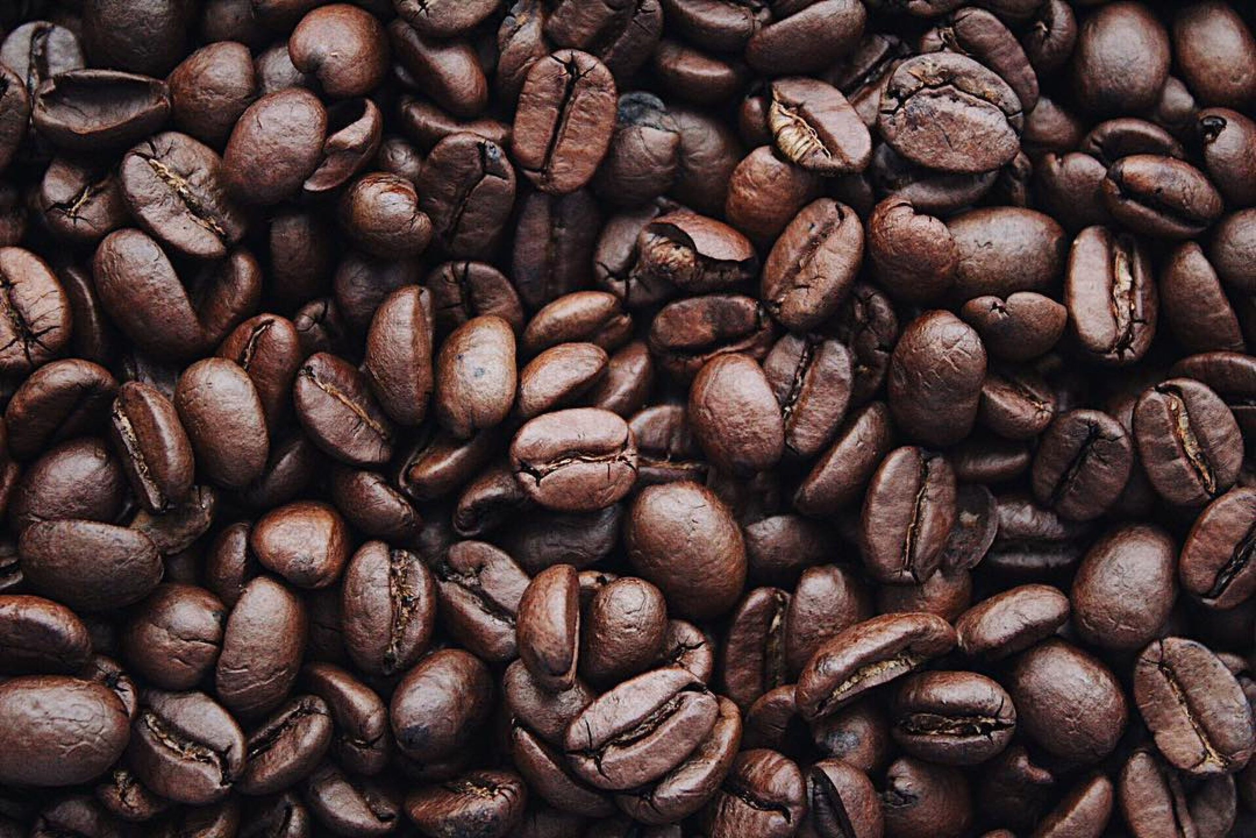 Close, top-down view of layers of dark brown coffee beans filling the entire picture