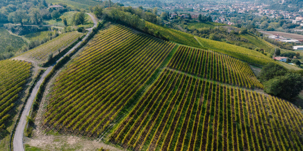 Rural Hillside