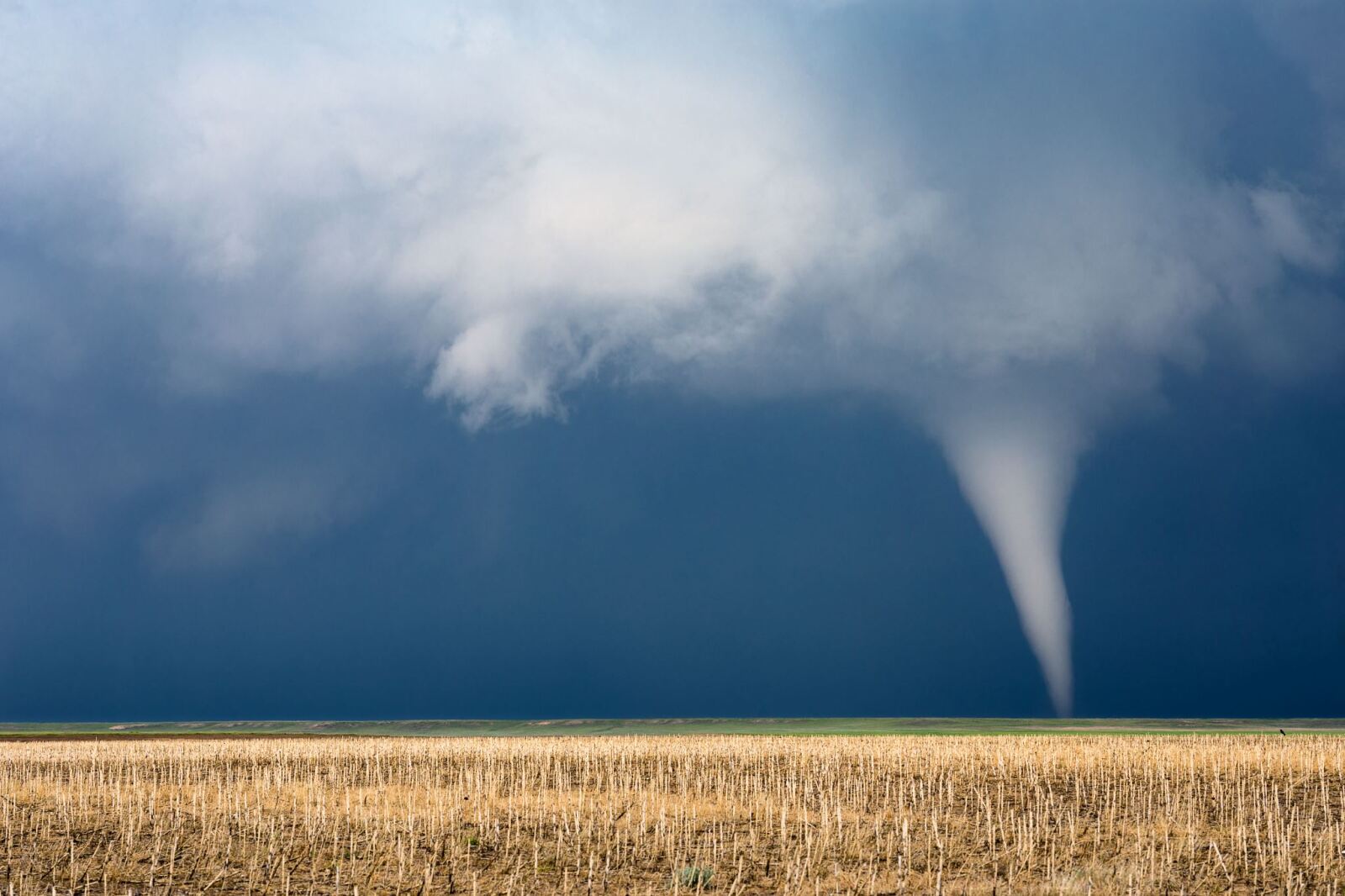 Tornado funnel cloud touching down over open landscape.
