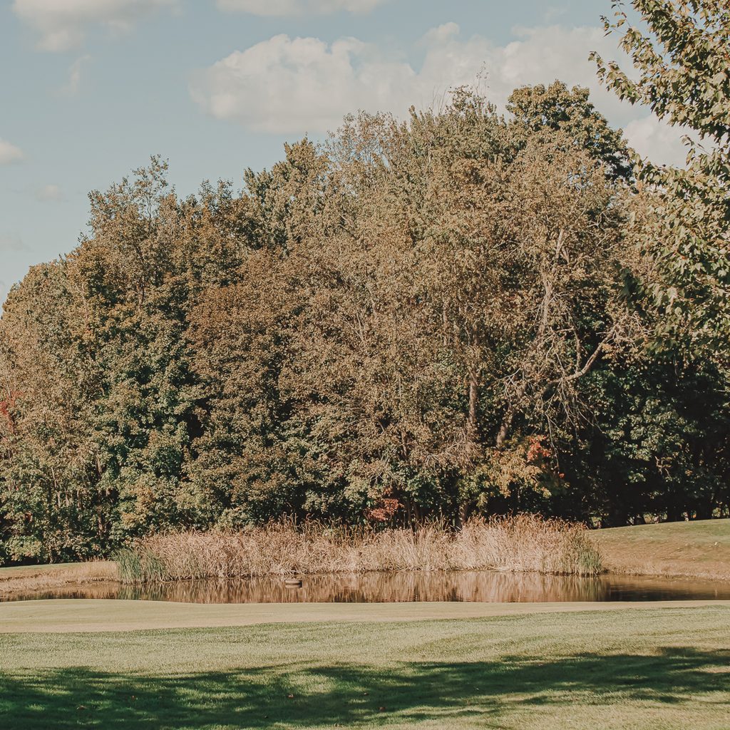 A landscape photo of the golf course