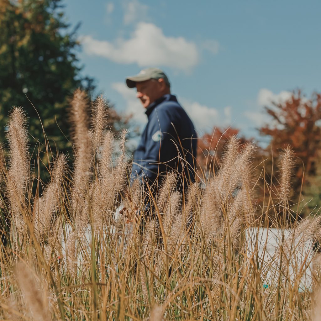 A male golfer in soft focus behind grass