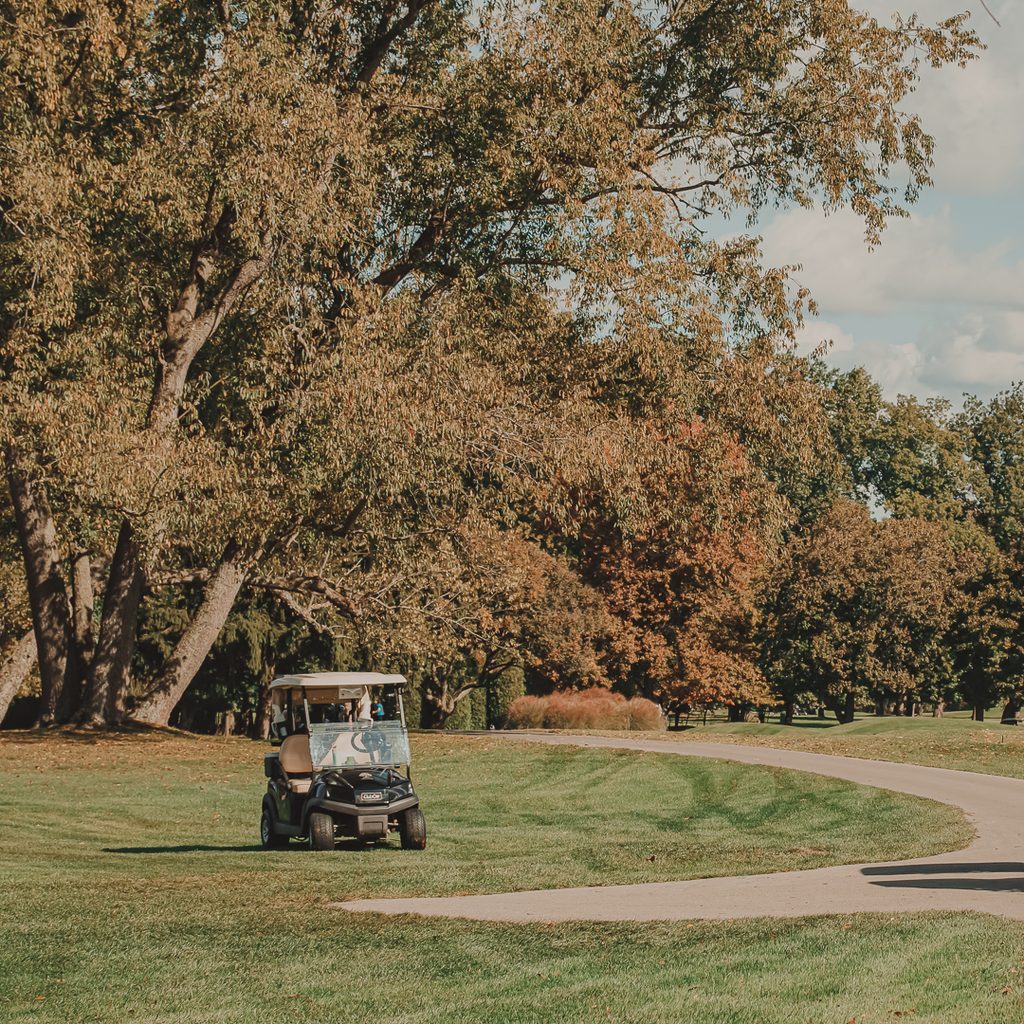 A golf cart waiting on the fairway