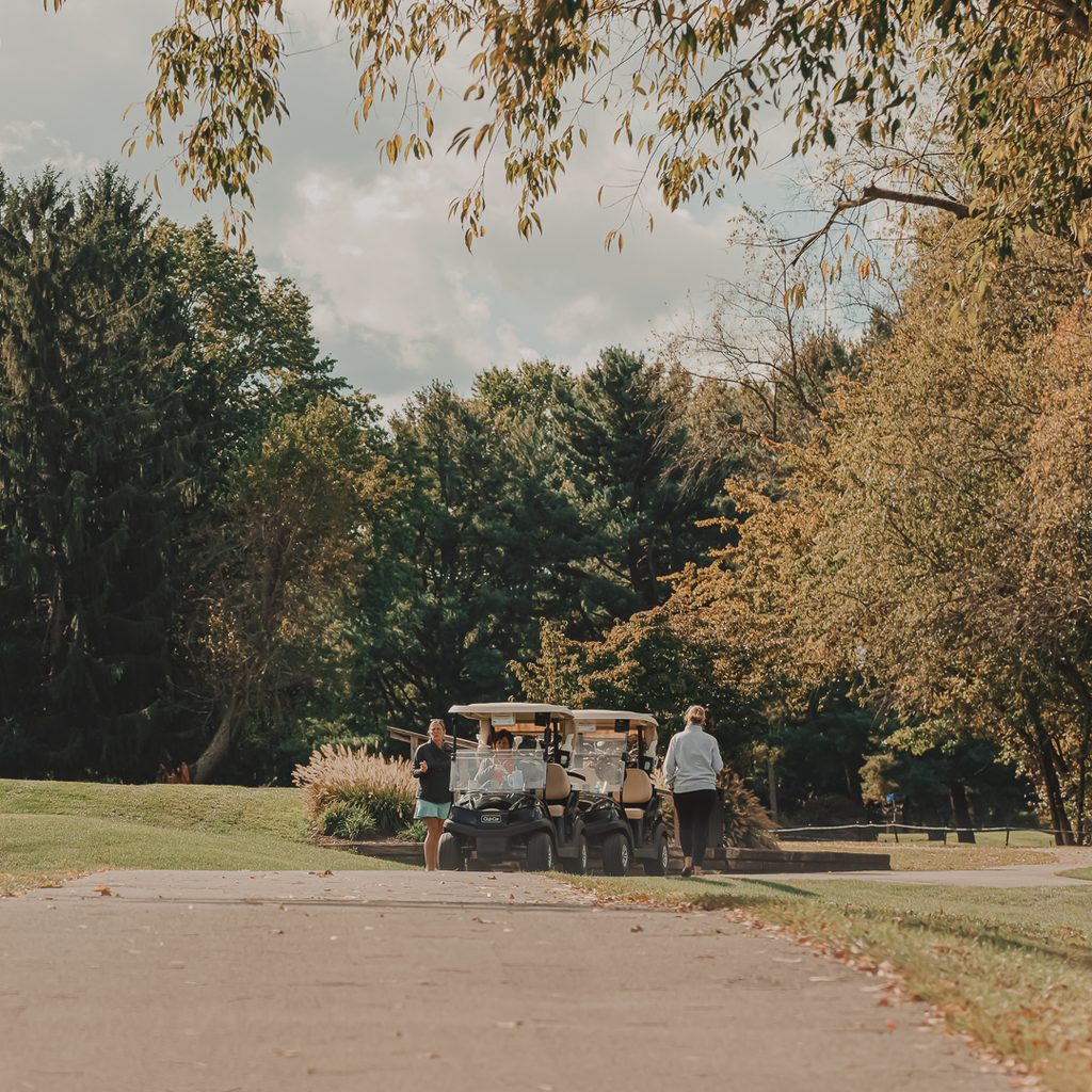 Golf carts in the distance sitting on a drive